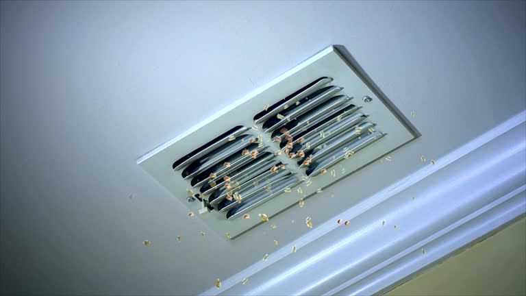 Best Home Air Vent Cleaning  in Coulee Dam, WA